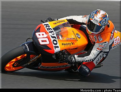 250_simon_3.jpg