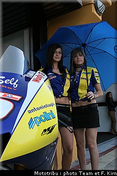 pitbabes_07.jpg