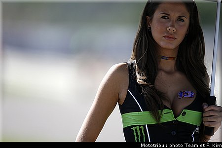 pitbabes_13.jpg