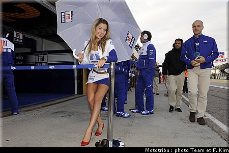 pitbabes_27.jpg