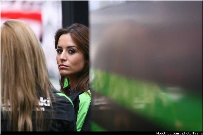 pitbabes_motogp_2008_0035