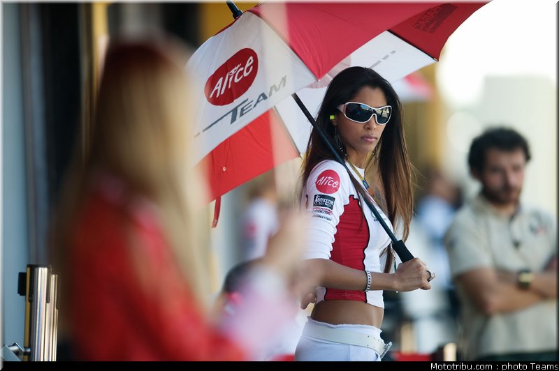 pitbabes_motogp_2008_0163