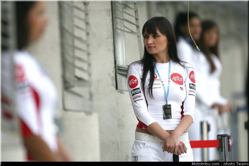 pitbabes_motogp_2008_0246