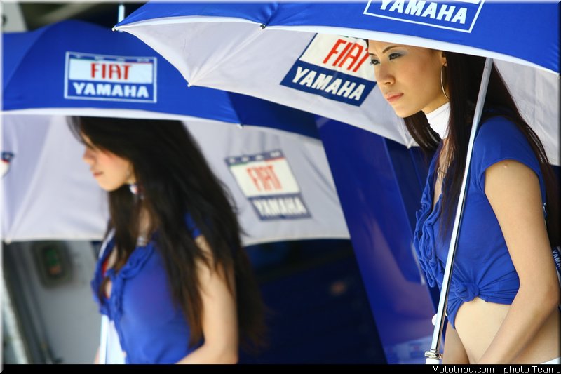 pitbabes_motogp_2008_0263