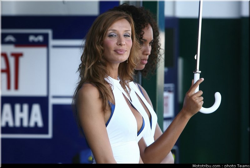 pitbabes_motogp_2008_0316