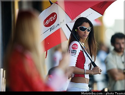 pitbabes_motogp_2008_0163.jpg