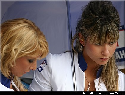 pitbabes_motogp_2008_0168.jpg
