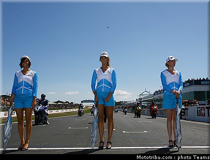 pitbabes_motogp_2008_0189.jpg