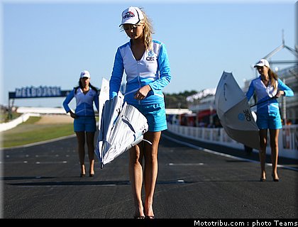 pitbabes_motogp_2008_0194.jpg
