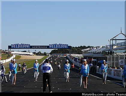 pitbabes_motogp_2008_0196.jpg