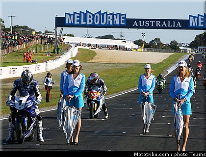 pitbabes_motogp_2008_0197.jpg