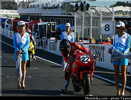 pitbabes_motogp_2008_0198.jpg