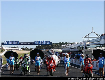 pitbabes_motogp_2008_0199.jpg