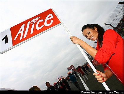 pitbabes_motogp_2008_0255.jpg