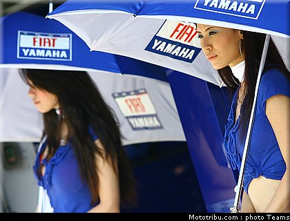 pitbabes_motogp_2008_0263.jpg