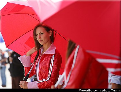 pitbabes_motogp_2008_0343.jpg