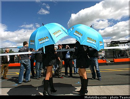 pitbabes_motogp_2008_0349.jpg