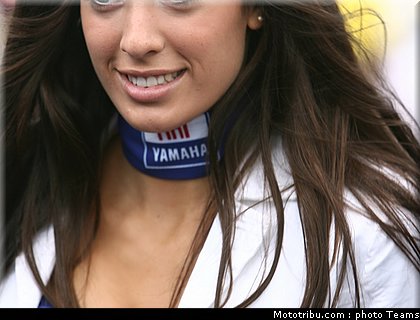 pitbabes_motogp_2008_0386.jpg