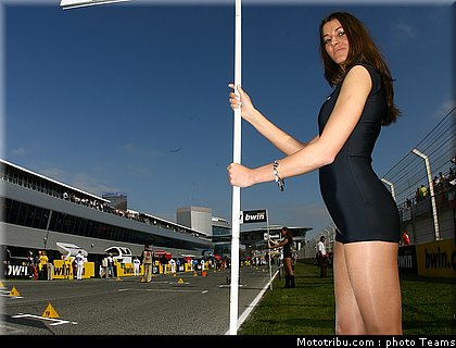 pitbabes_motogp_2008_0499.jpg
