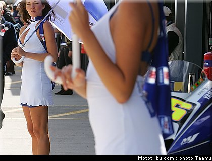pitbabes_motogp_2008_0559.jpg