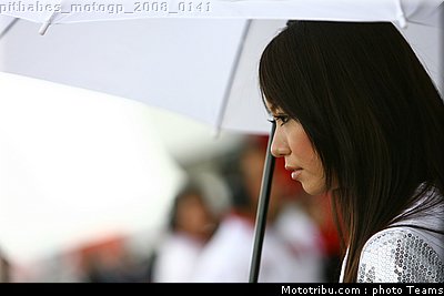 pitbabes_motogp_2008_0141.jpg