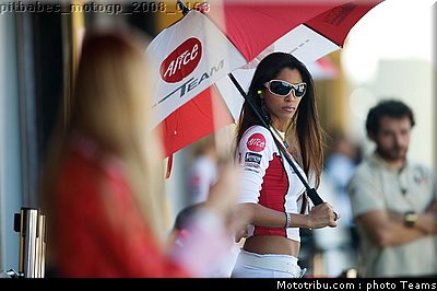 pitbabes_motogp_2008_0163.jpg