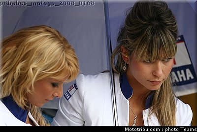pitbabes_motogp_2008_0168.jpg