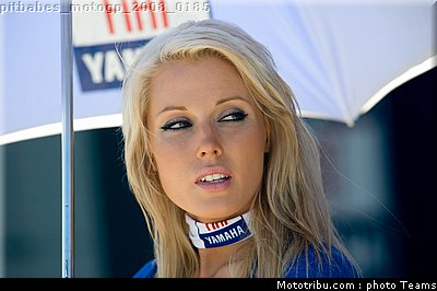 pitbabes_motogp_2008_0185.jpg