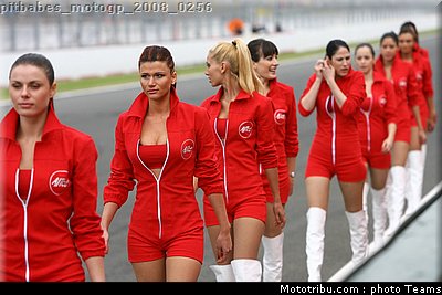 pitbabes_motogp_2008_0256.jpg