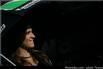 pitbabes_motogp_2008_0266.jpg