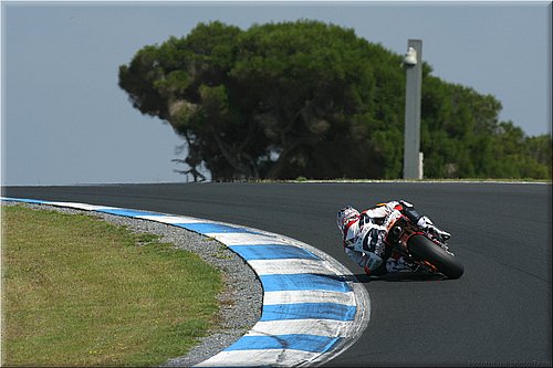 hayden-003.jpg