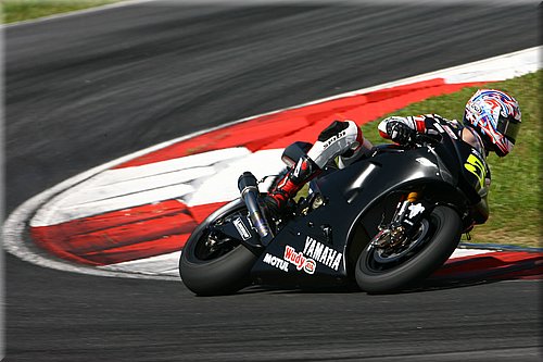 edwards002.jpg