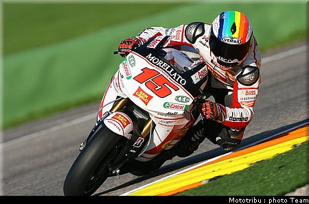 deangelis_5.jpg