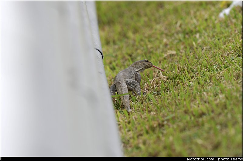 motogp_test_malaisie_2011_06
