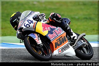 alonso_001_redbull_motogp_rookies_cup_2013_test_fevrier.jpg