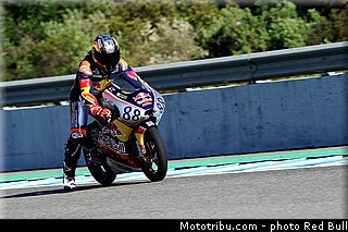 martin_011_redbull_motogp_rookies_cup_2013_test_fevrier.jpg