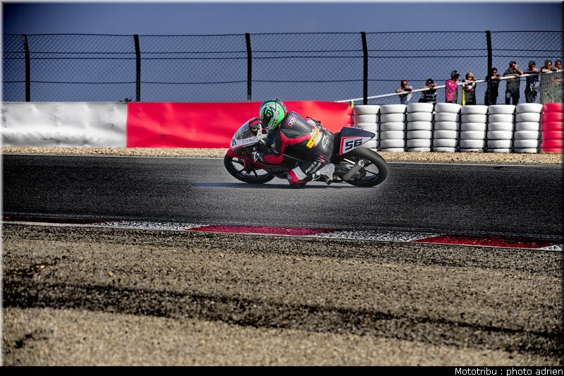 125_bovin_1