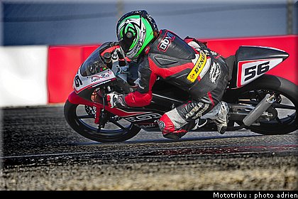 125_bovin_2.JPG