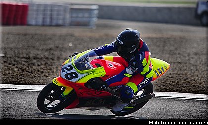 125_ongaro_2.JPG