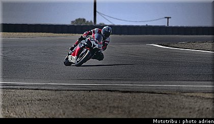 600pirelli_bacot_3.JPG