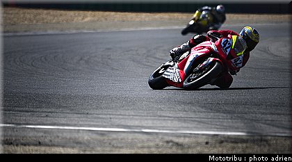600pirelli_chevaux_2.JPG