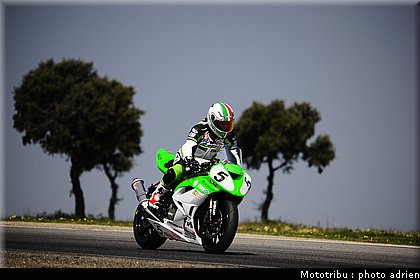 600pirelli_kaluzny_1.JPG