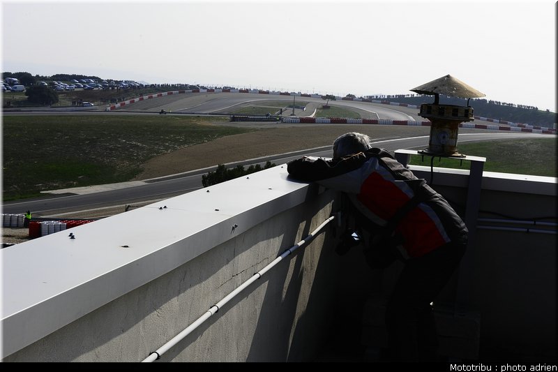 paddock_006