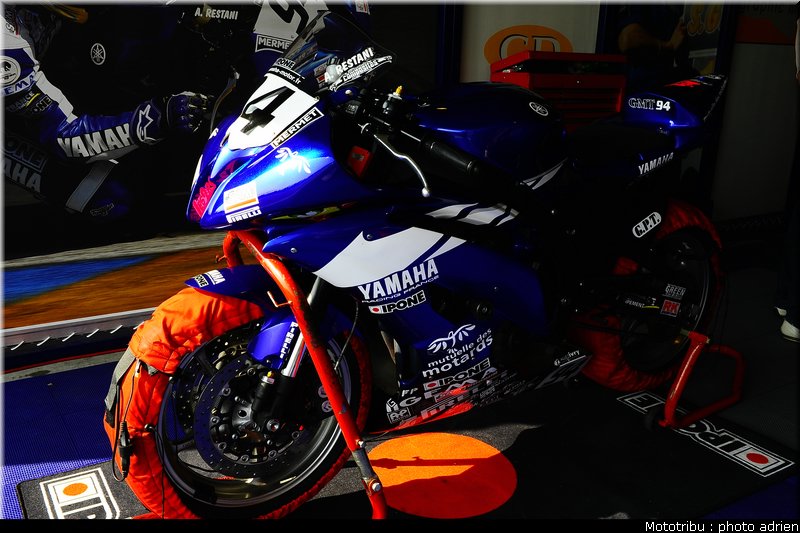 paddock_016