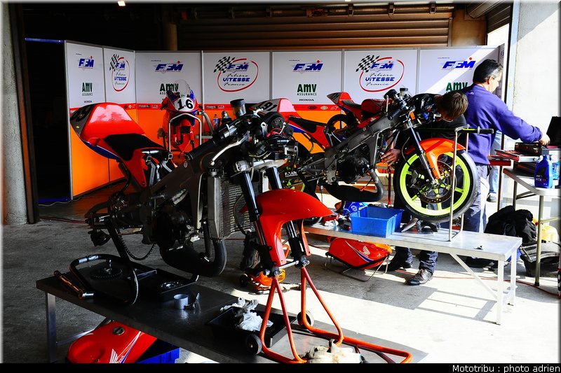 paddock_025