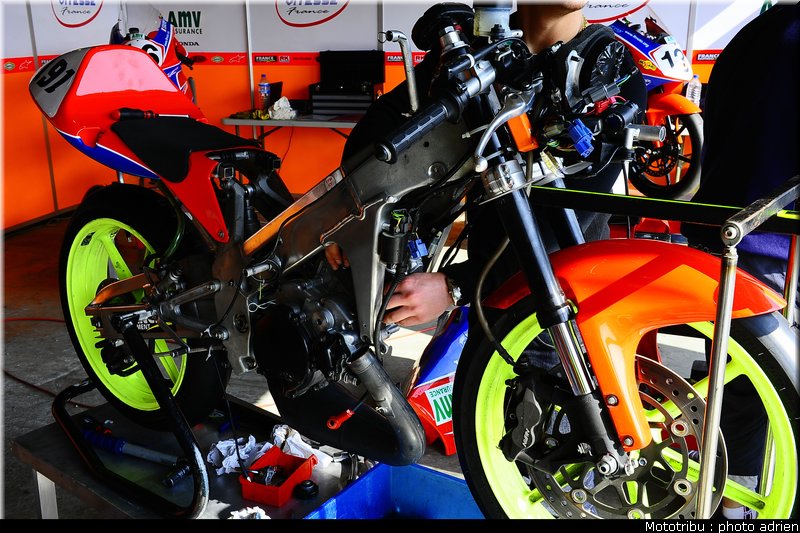 paddock_026