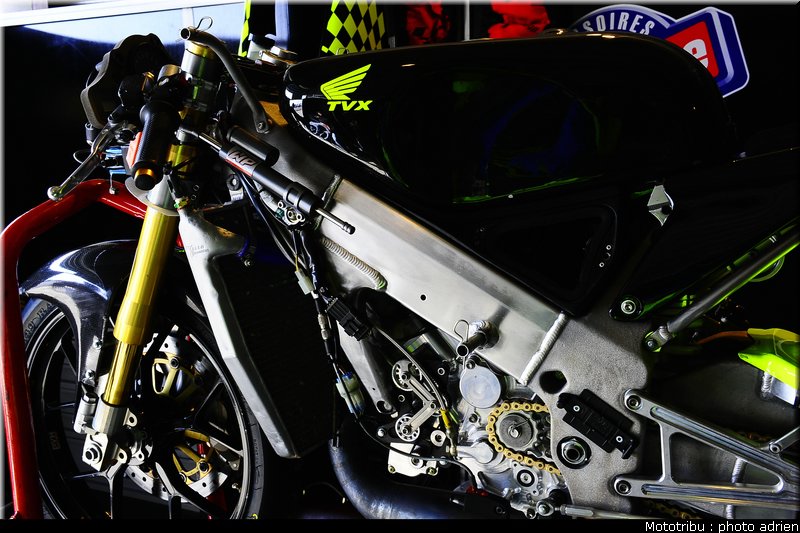 paddock_031
