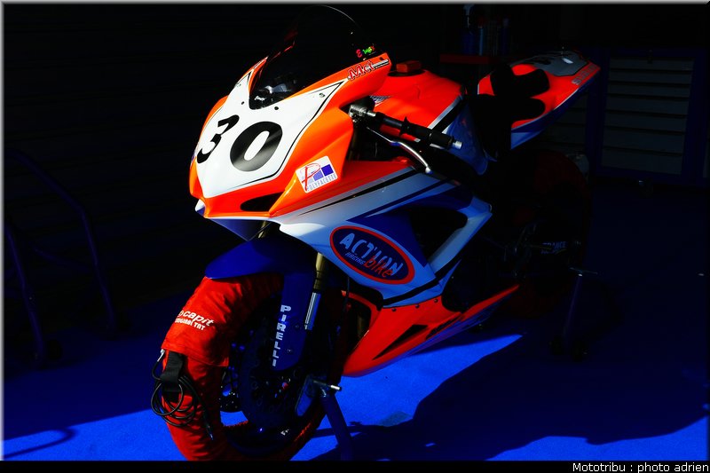 paddock_036