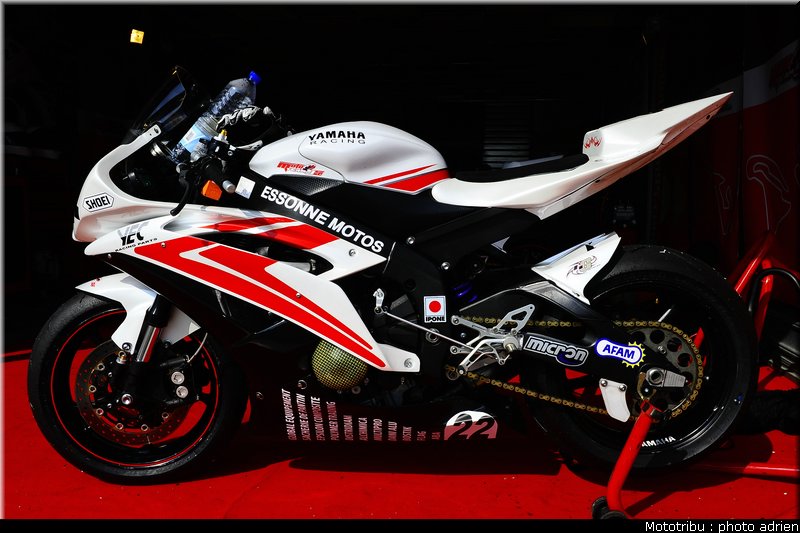 paddock_038