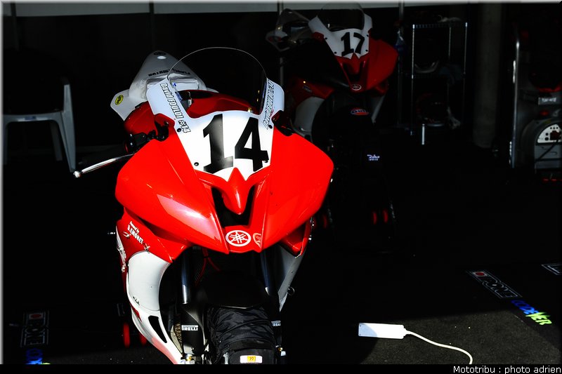 paddock_040